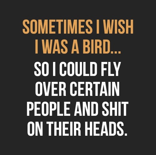 Sometimes I Wish I Was Bird