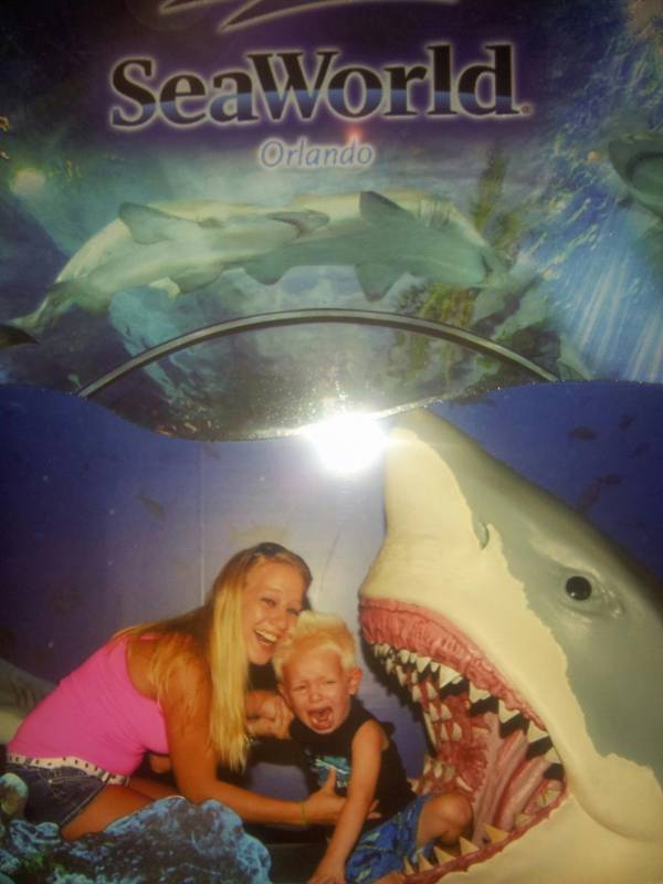 At Sea World