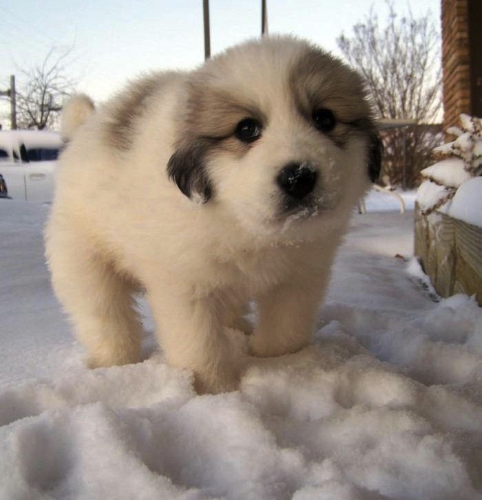 Itâ€™s Cold Out Here Can We Please Go Back Inside