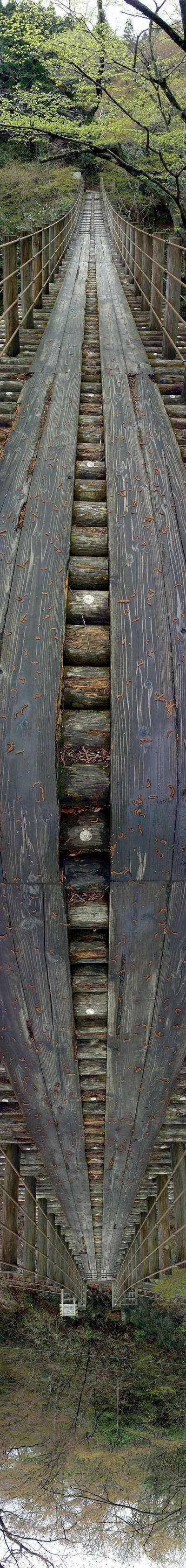 180 Degrees Angle View