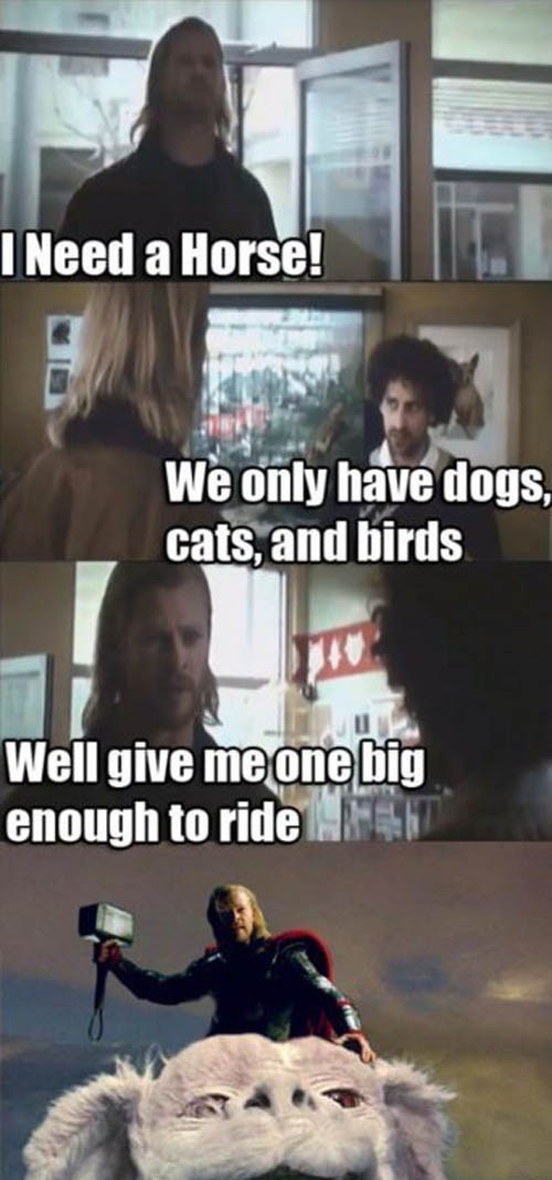 The Neverending Thor Y