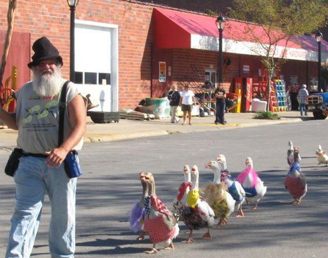 Girls Ready For Rock