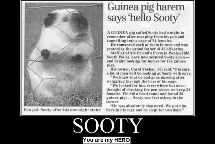 Sooty You Are My HERO