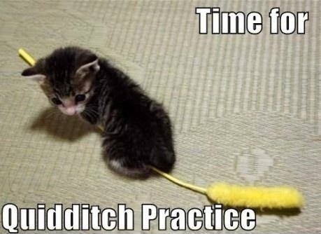 Quidditch Practice