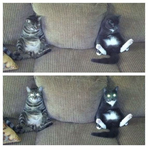 Zombie Mode Activated