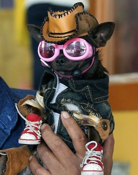 Dude I\'m Freaking Look Cool 