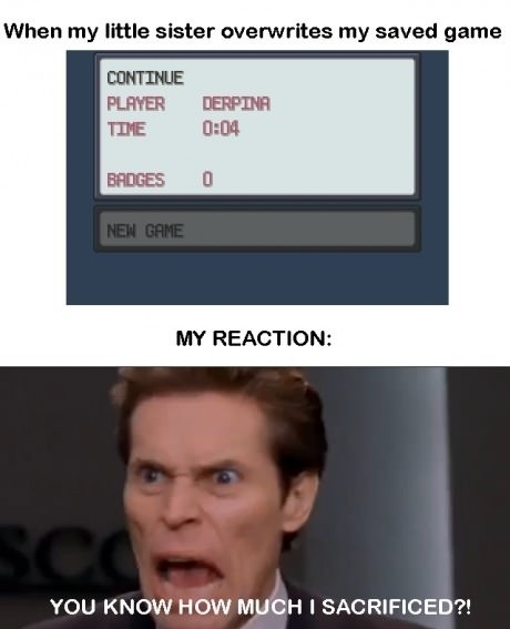 When My Little Sister Overwrites My Saved Game