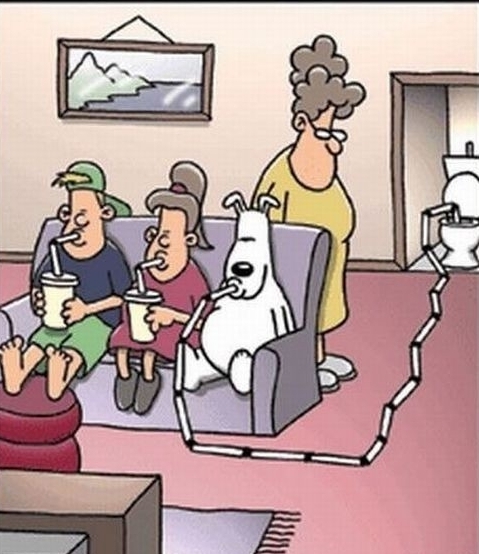 Does The Dog Not Know What I Do In There