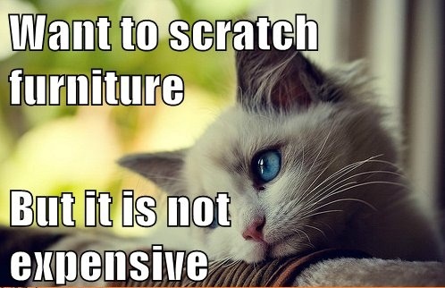 Want To Scratch Furniture But Itâ€™s Not Expensive