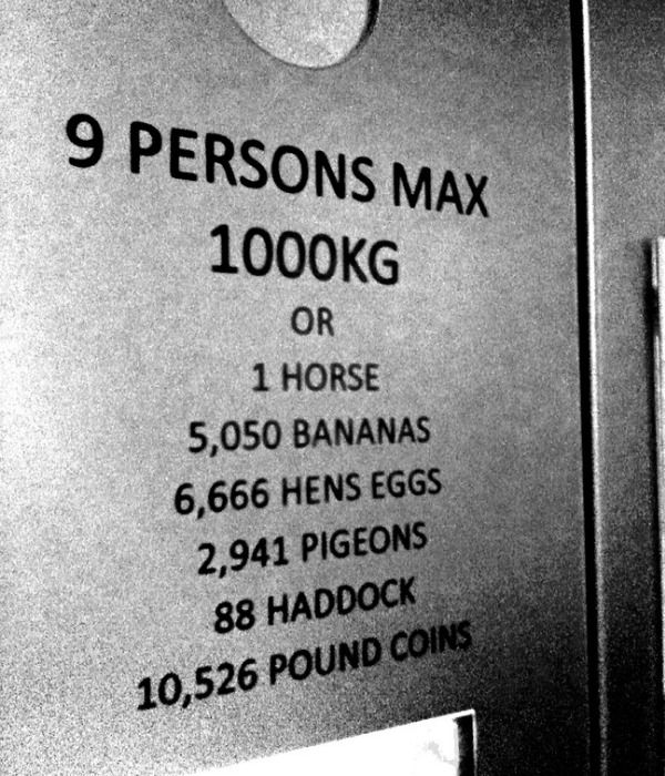 9 Persons Max 1000 Kg