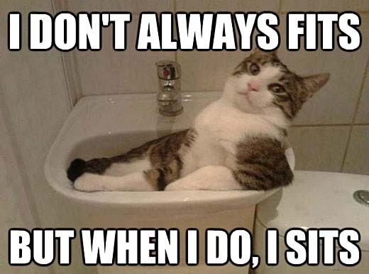 Most Interesting Cat In The World