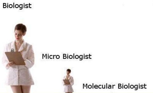 Do You Find Molecular Biologist