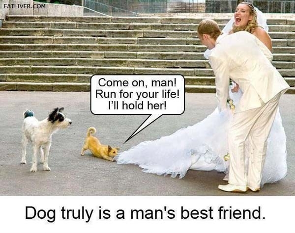 Dog Truly Is A Man\'s Best Friend