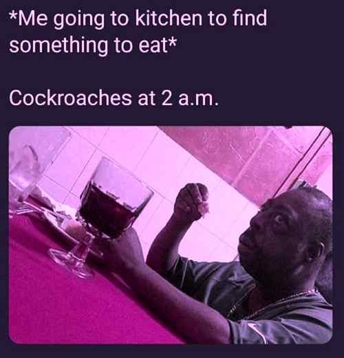 Scare from cockroaches