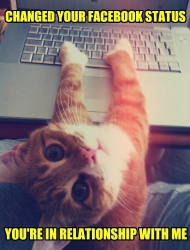 Changed Your Fb Status