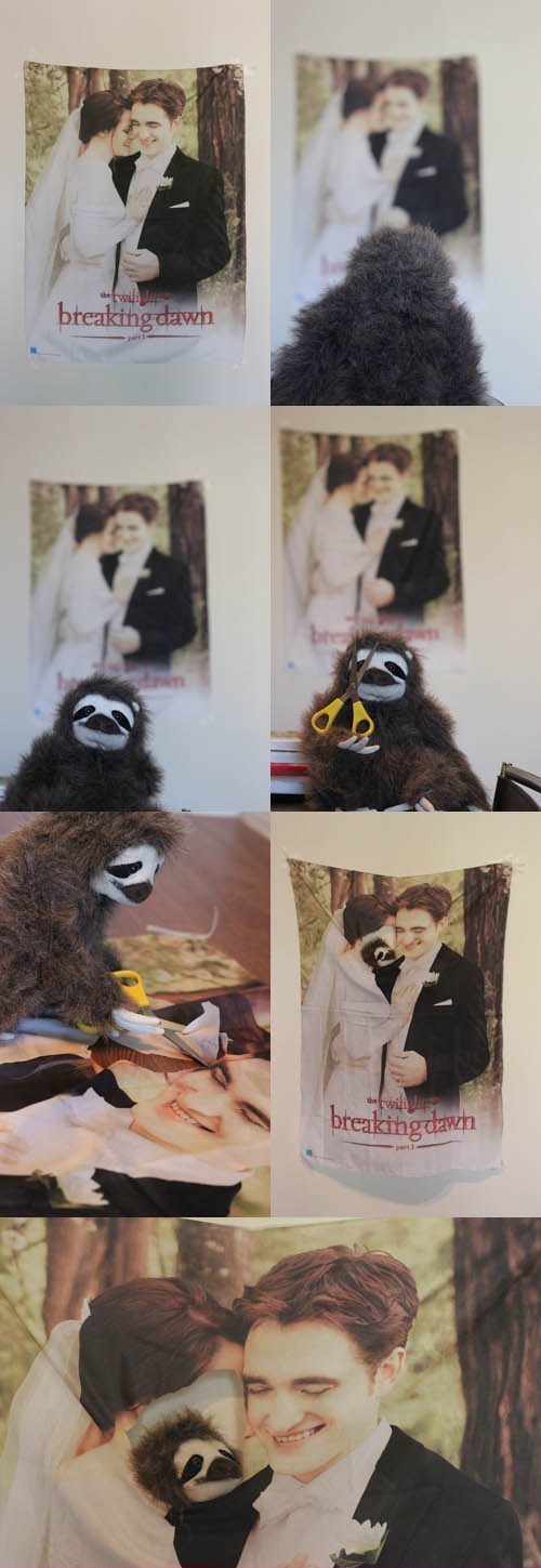 An Den Lion Lay Down Wif Sloth 5 Eva