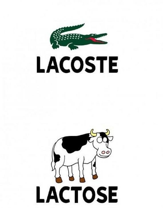 Or It Could Be Le Coast