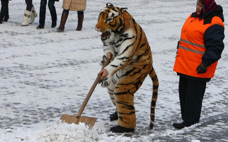 Humm Clean Everything