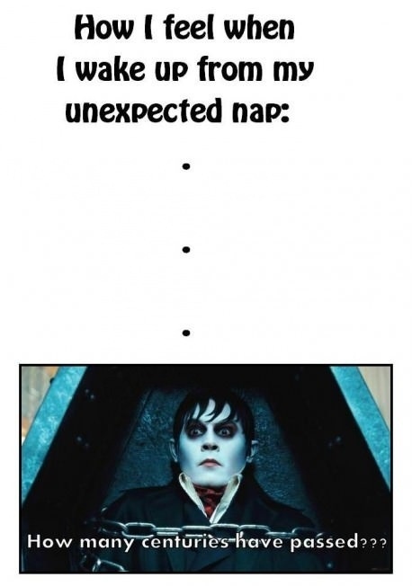 How I Feel When I Wake Up From My Unexpected Nap