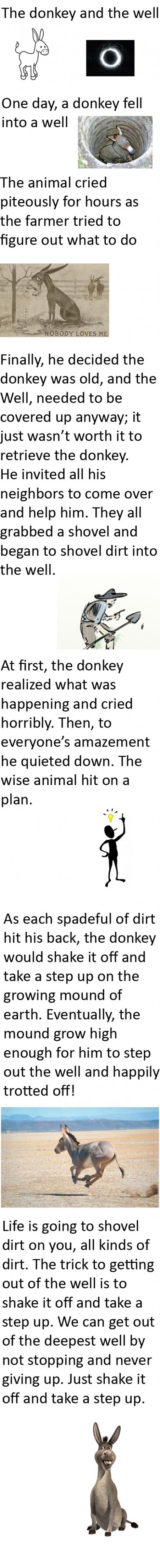 The Donkey And The Well