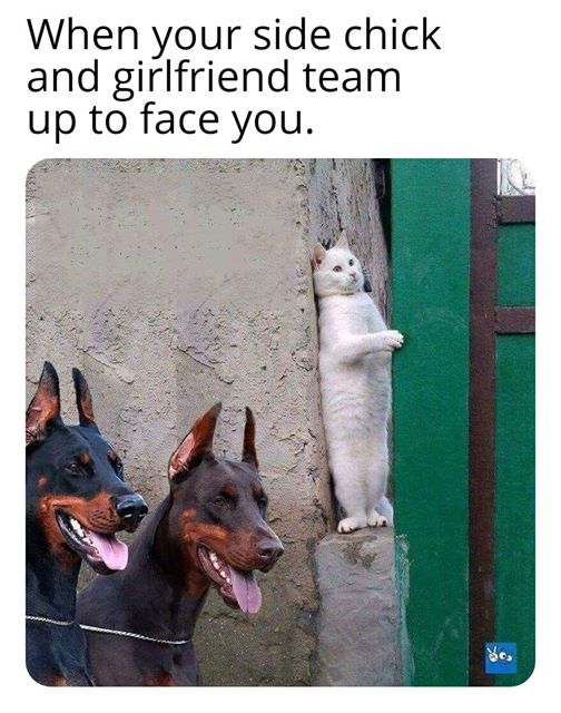 Girlfriend team up to face you