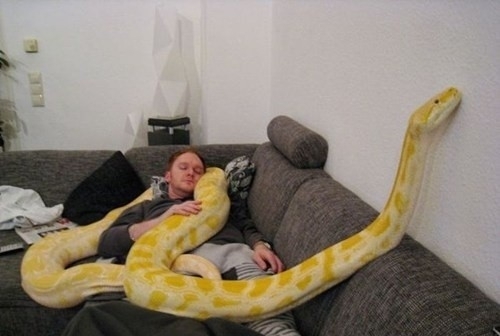 Just Gonna Have A Quick Nap