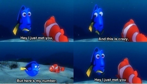 Hey I Just Met You