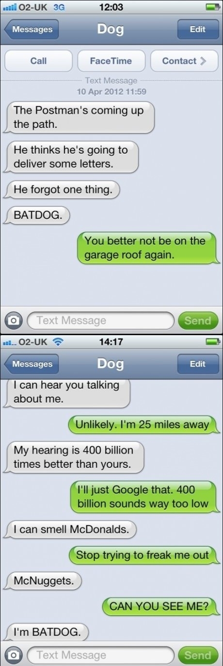 Nanananananananana BATDOG