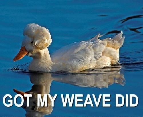 Finally Got My Weave