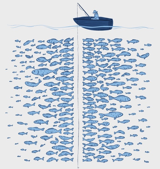 They Said Thereâ€™re Plenty Of Fish In The Sea