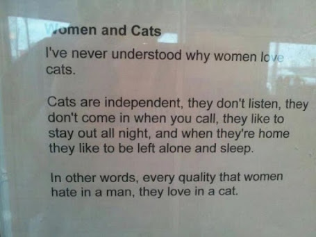 Women And Cats 