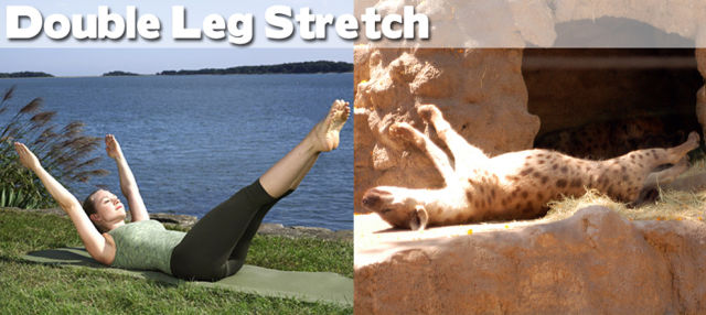Leg Stretching 