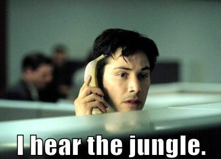 I Hear The Jungle