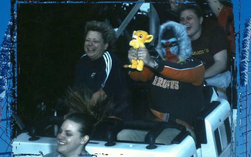 Simba Lion King In Roller Coaster Ride