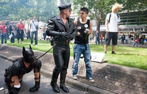 Hey Dude Check Out My New Dog