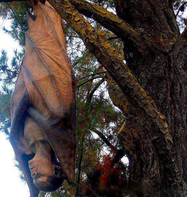 Human Bat Shit Just Got Serious