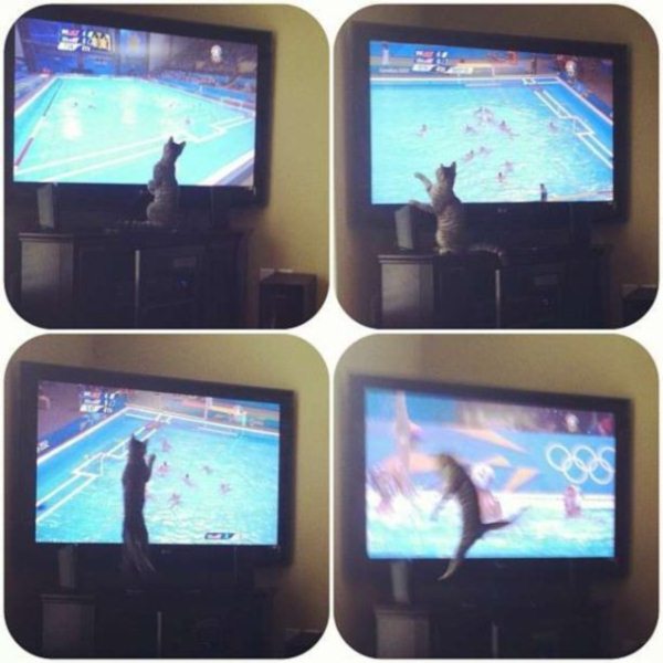 Olympics Water Polo
