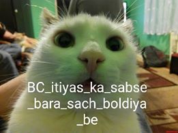 Itihas ka sabse bada such boldiya