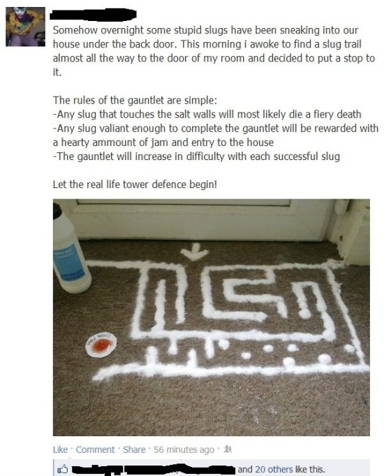 So My Friend Has A Problem With Slugs