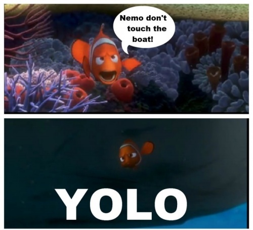 Nemo You Only Live Once