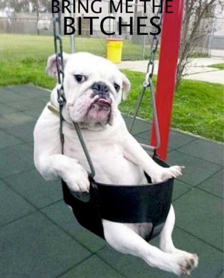 Bring Me The Bitches