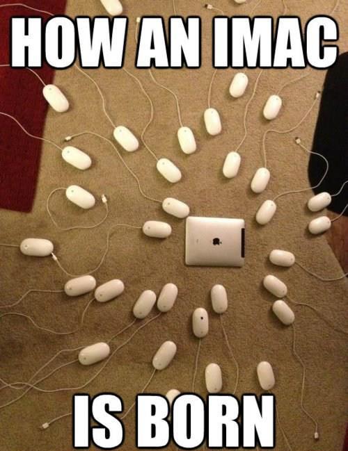 How An iMac Is Born