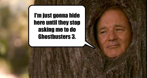 I\'m Just Gonna Hide