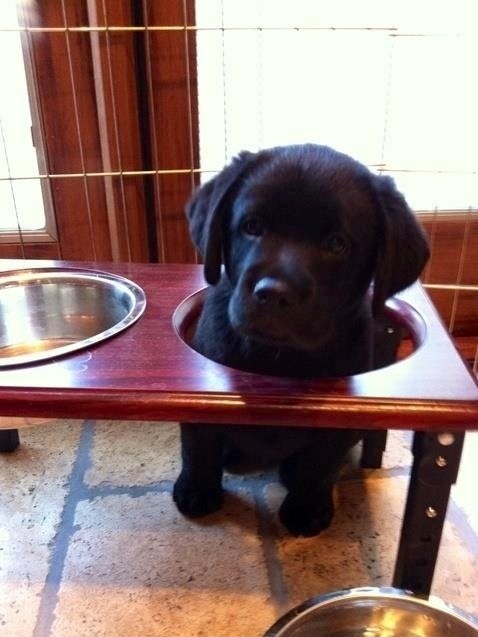 You Know I\'m Just Like That  