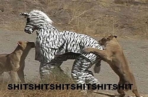 Maybe That Wasn\'t Such A Good Idea After All