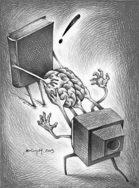 The Internet Has Already Taken My Brain