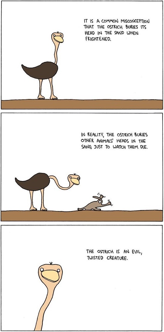 Why Ostriches Are Evil