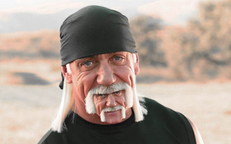 Funny Hulk Hogan