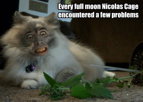 Honey Get The Spray Bottle One With HolyWater