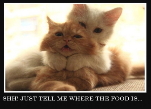 Just Tell Me Where The Food Is